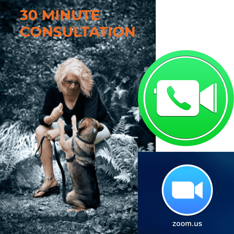 Pay for 30 minute consultation